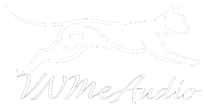 VN ME AUDIO
